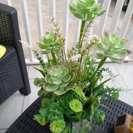 Mesas Del Mar. Sueños Tacoronte