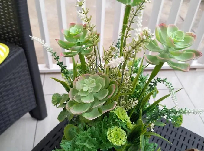 Mesas Del Mar. Suenos Tacoronte