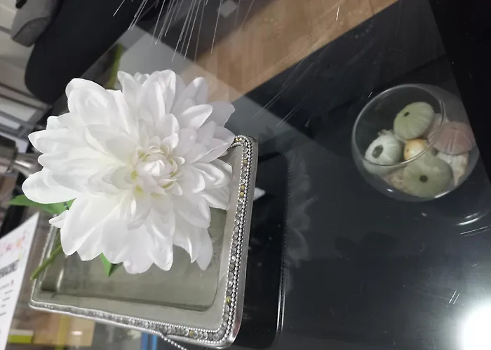 Mesas Del Mar. Suenos Apartment *